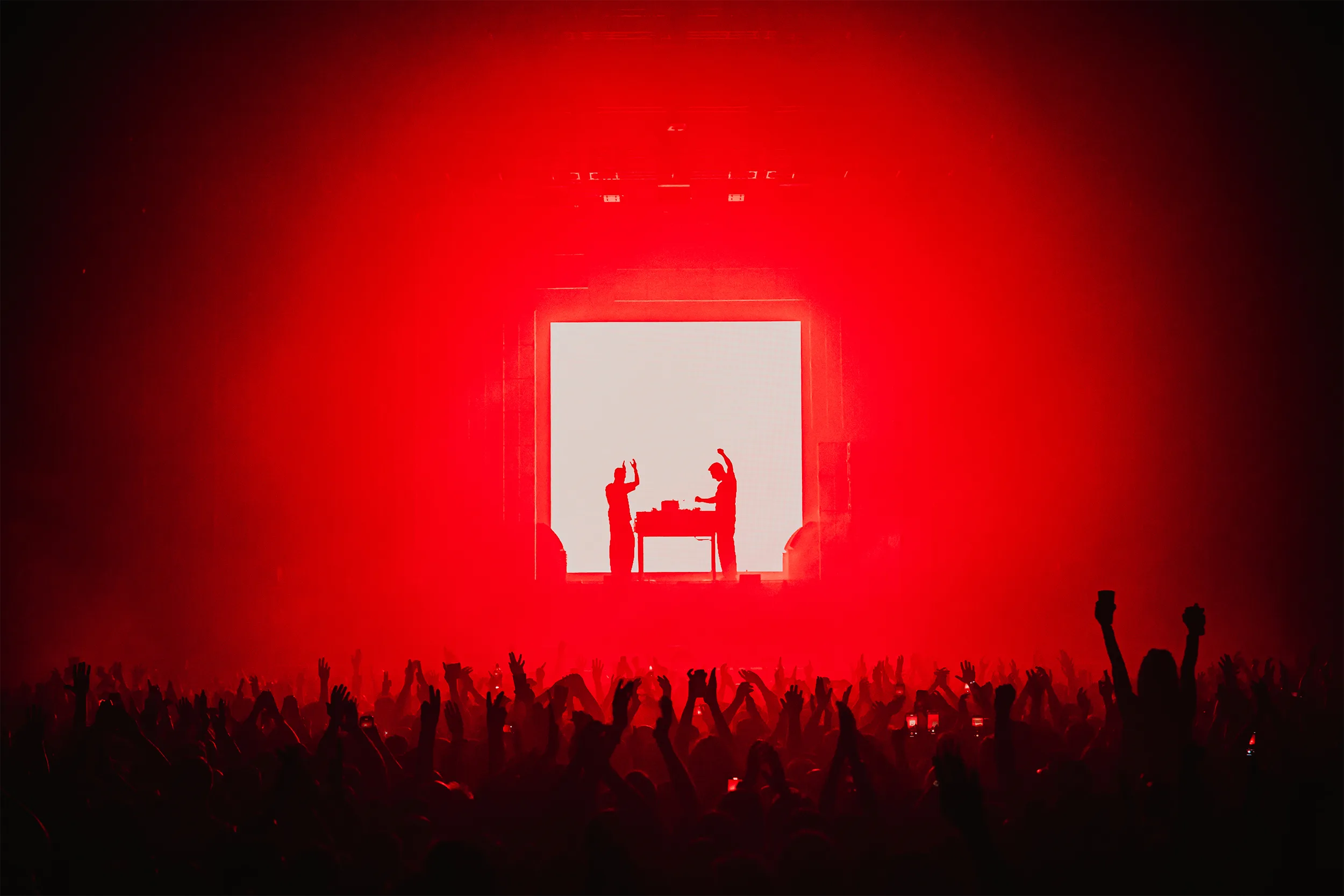 Bicep live, red wash