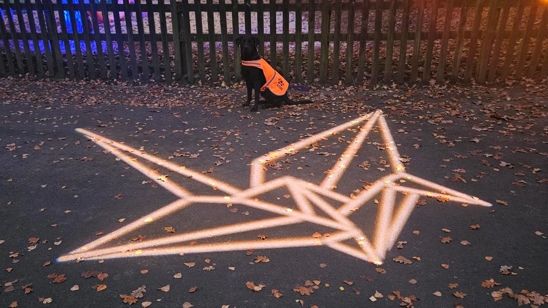 Building Illuminova on site at Wellington Country Park