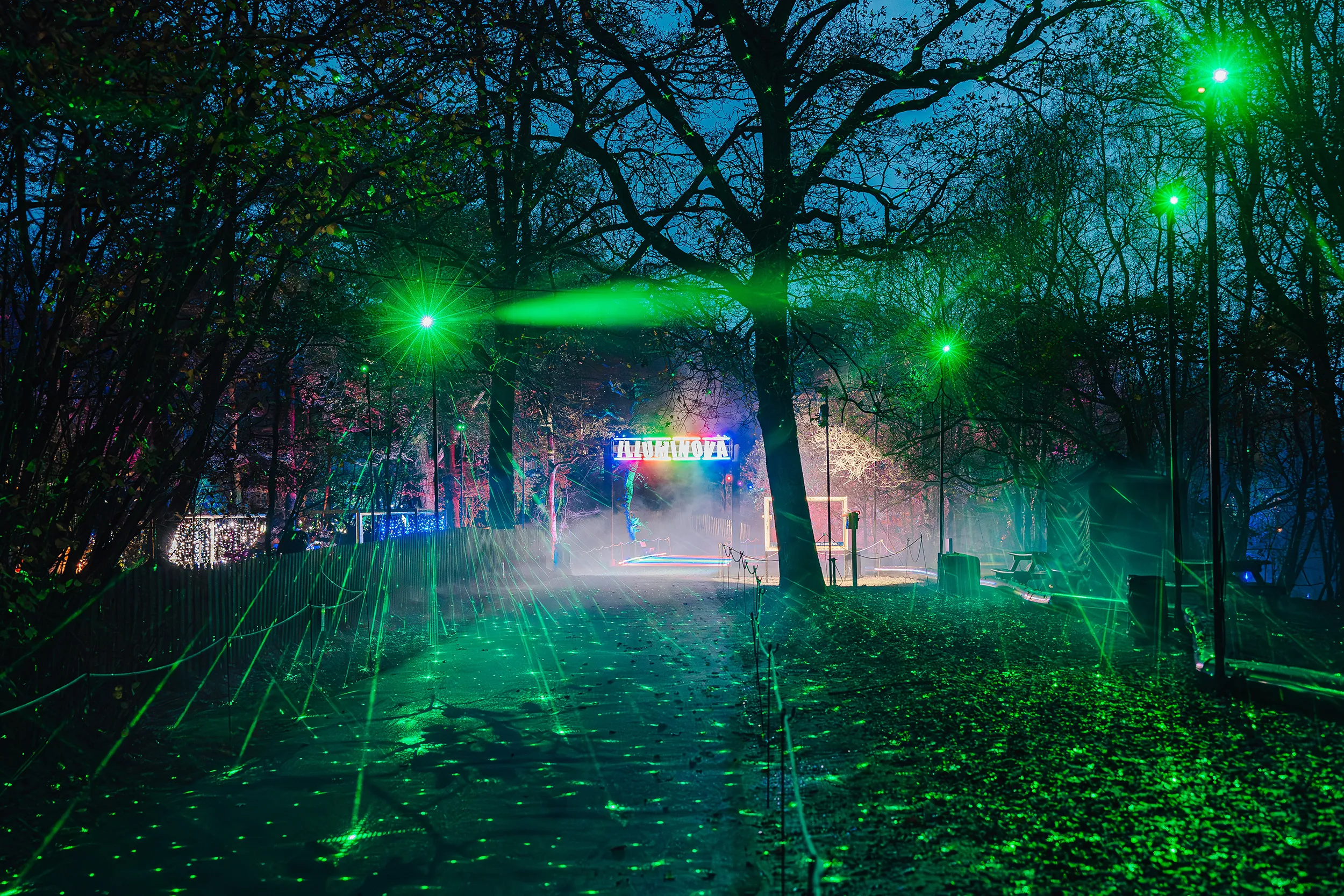 Lasers fanning through the trees along the Illuminova trail at night