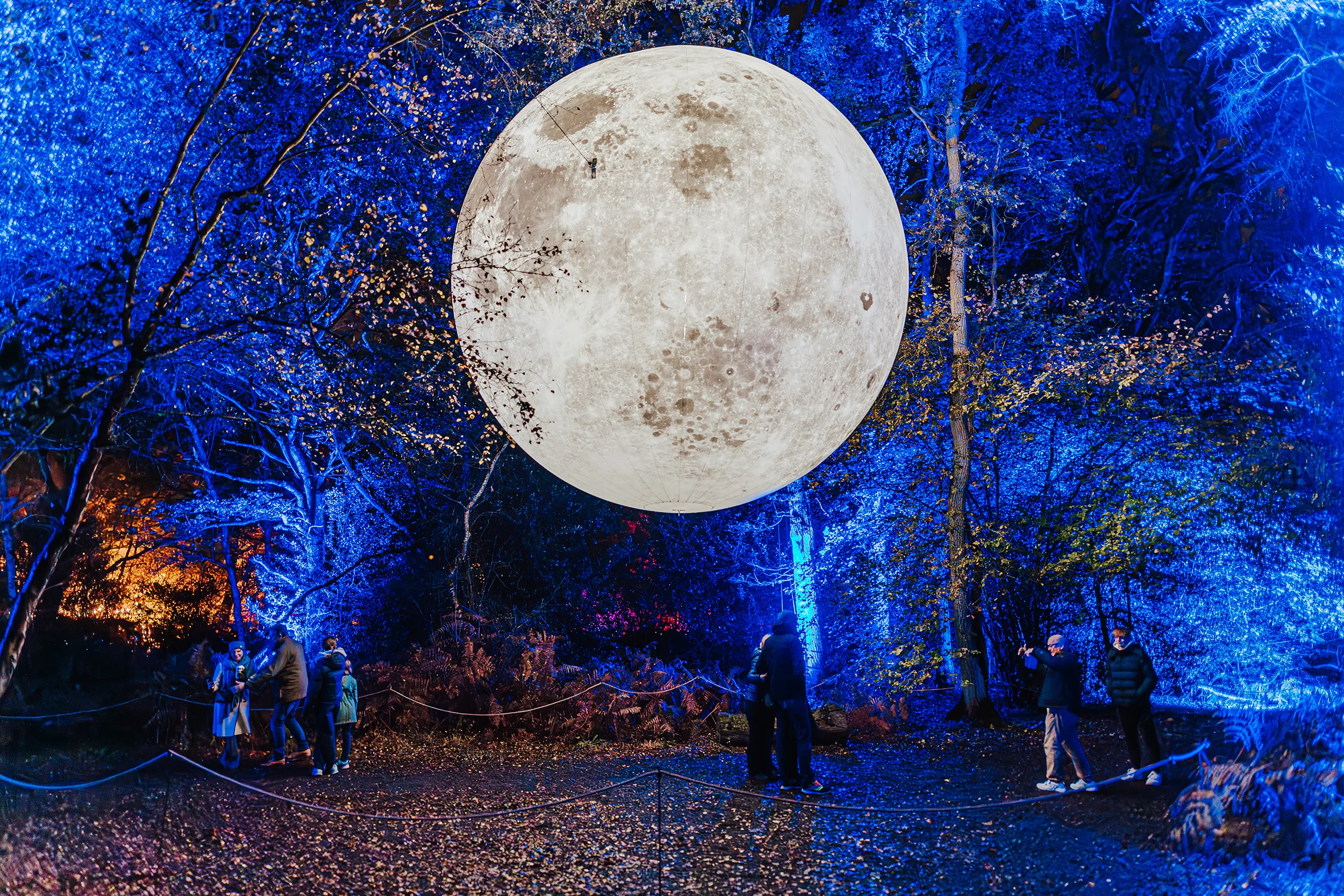 The 6m inflatable moon glowing among the trees on the trail