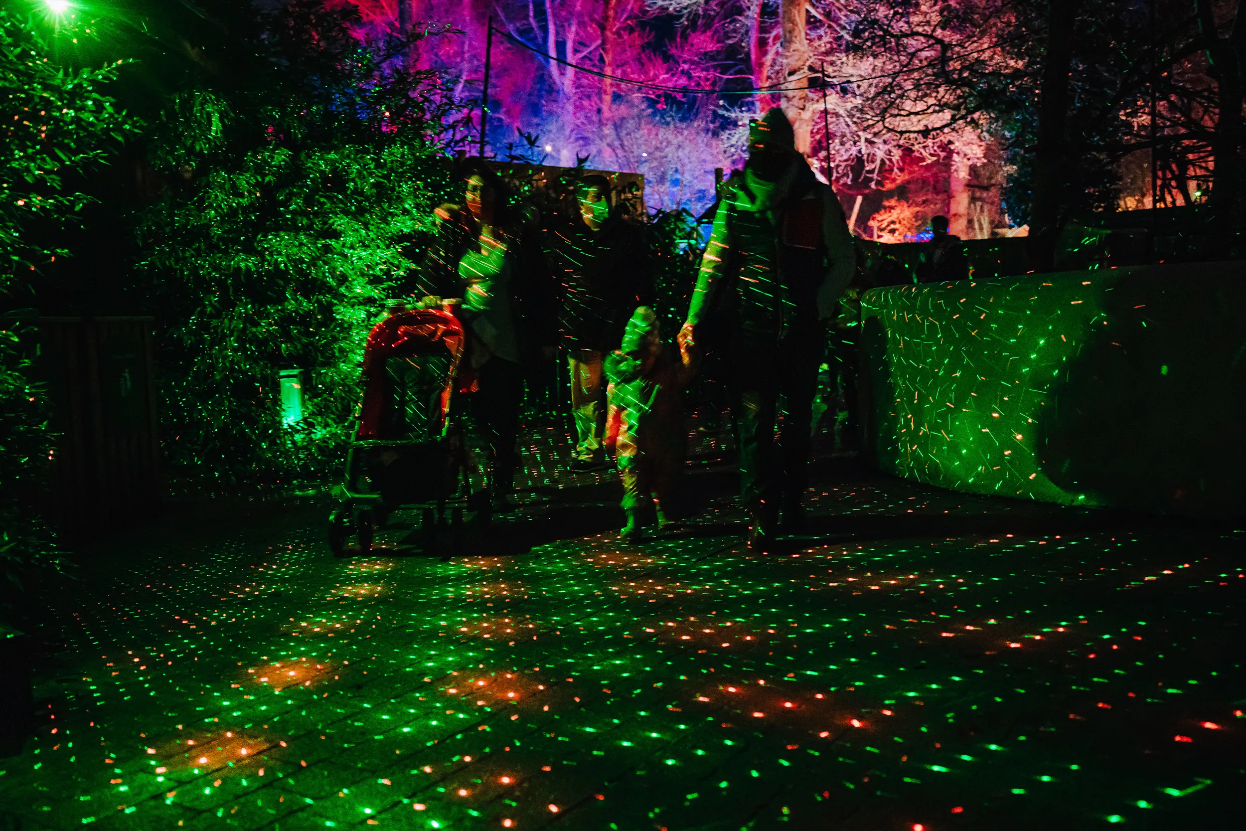 A family with a pushchair walking through green laser light scattered across hedges and ground