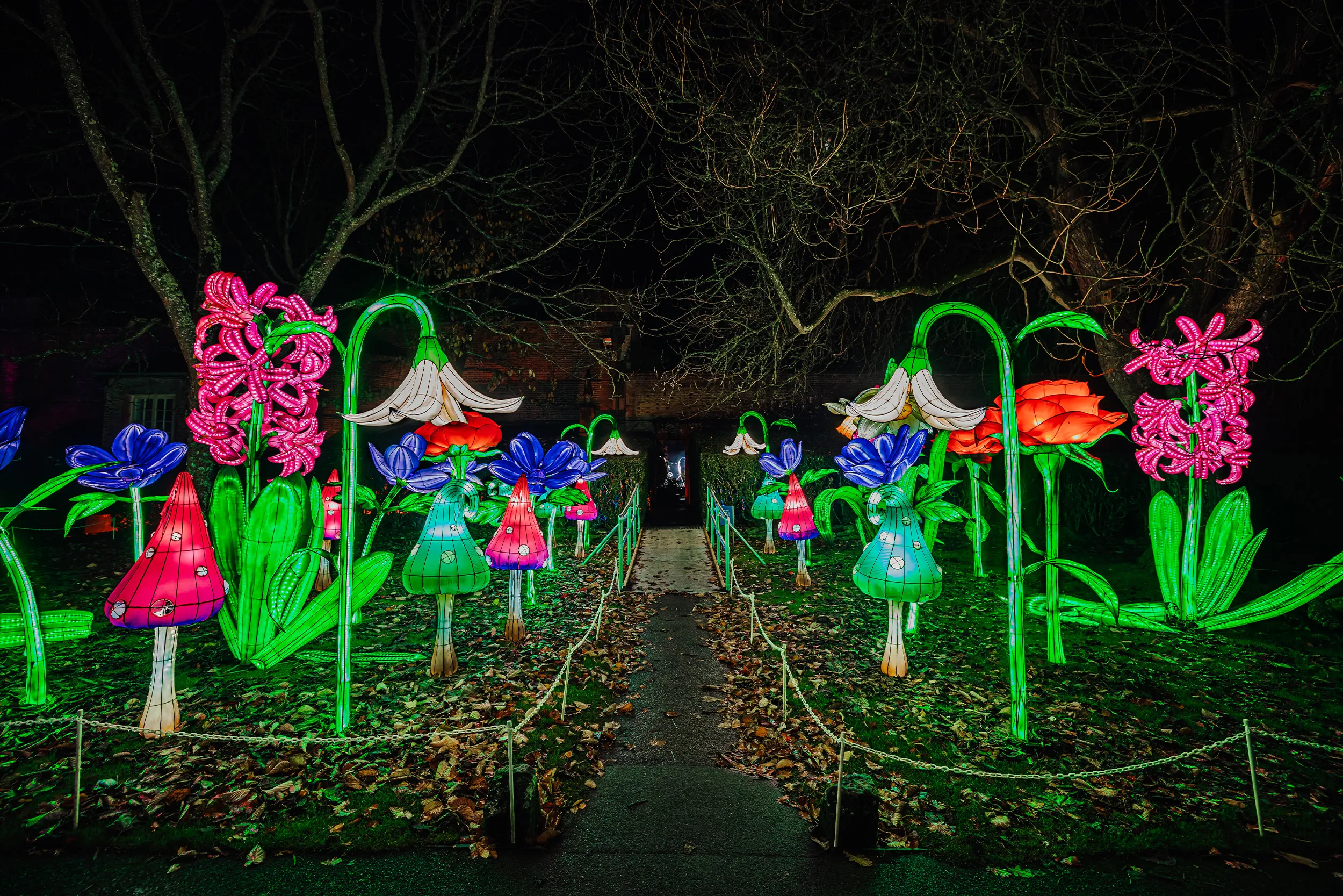 A garden path lined with giant glowing lantern flowers and toadstools