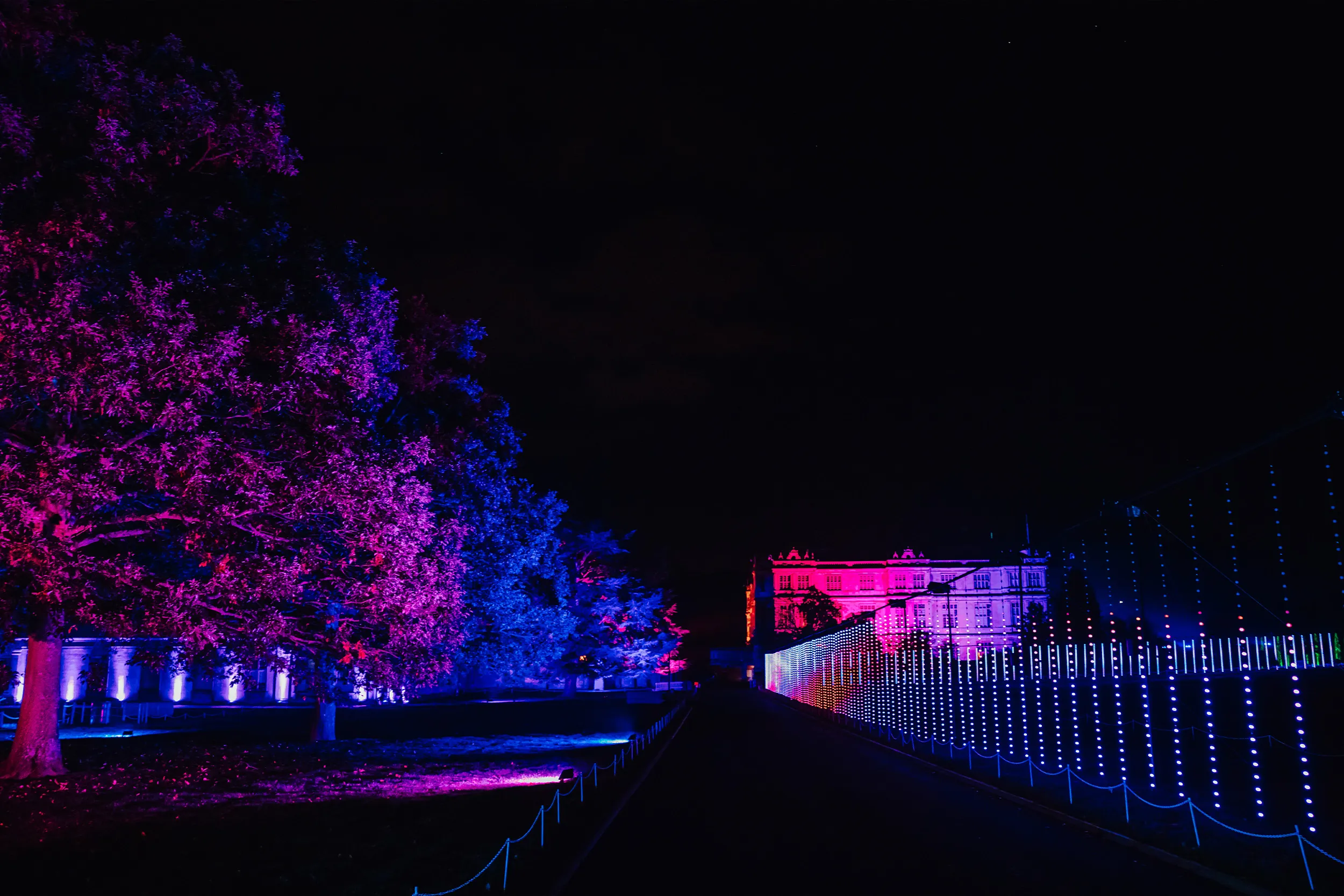 A long avenue with trees washed in magenta and blue, the house glowing at the far end