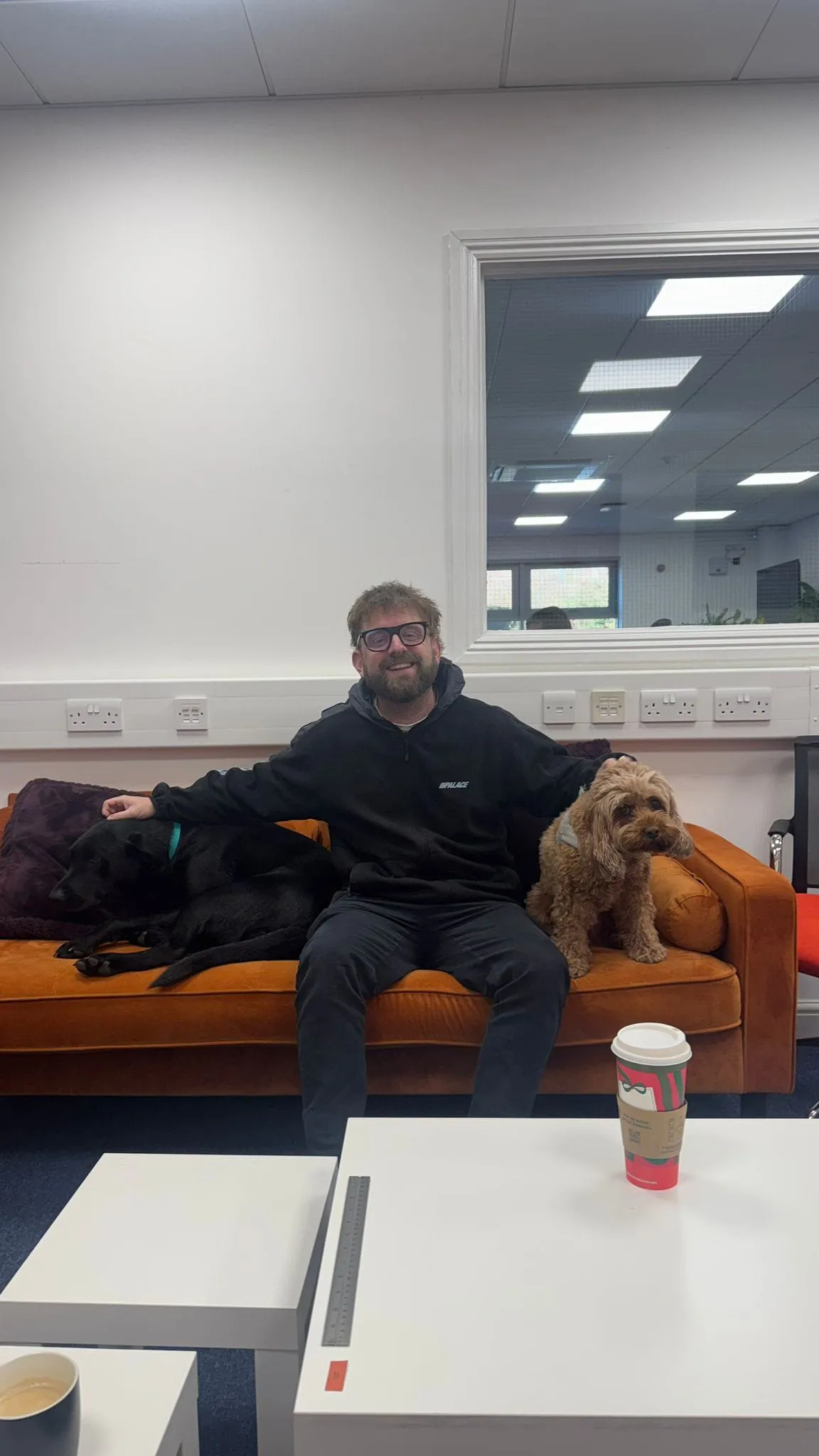 Zeal team, jt dogs